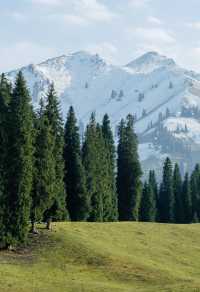 原始森林野奢體驗