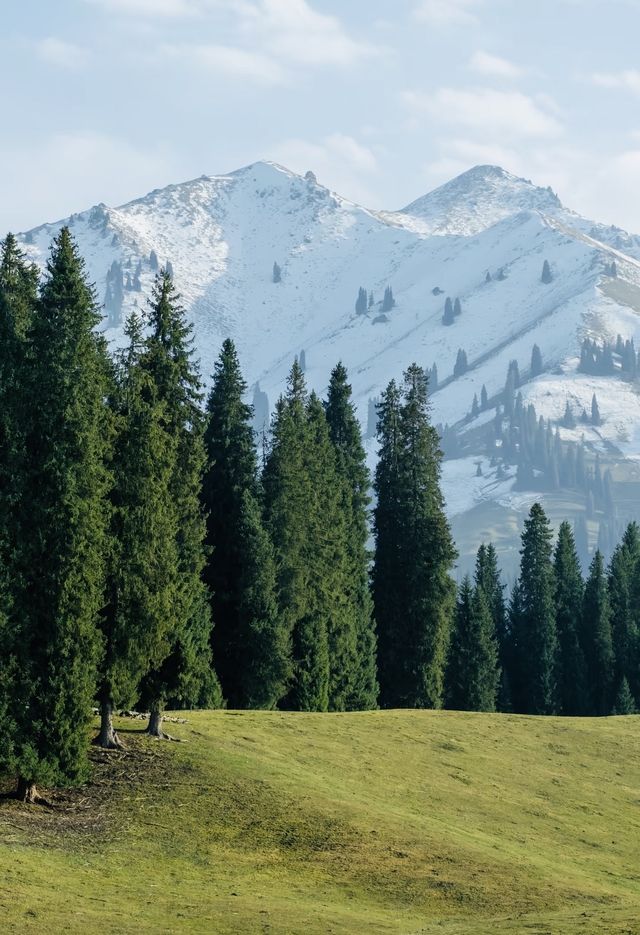 原始森林野奢體驗 原始森林野奢體驗