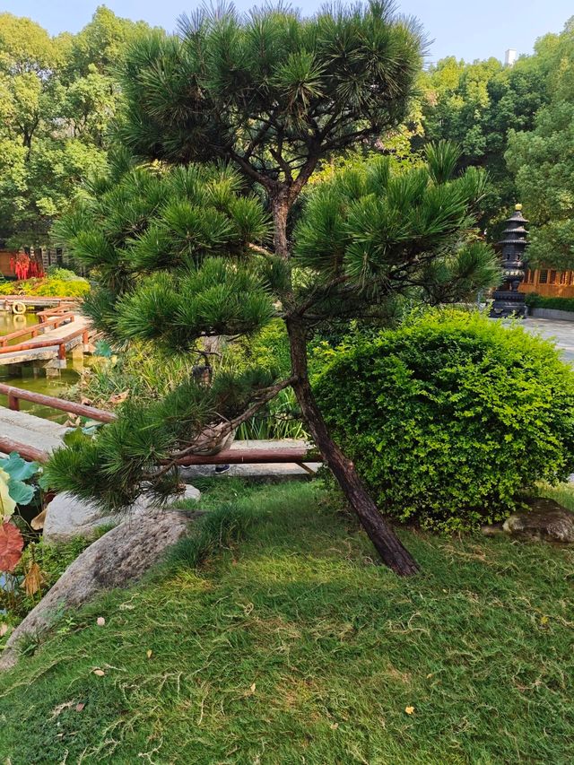 南昌小眾禪寺打卡!文泉寺一日靜心全攻略 南昌小眾禪寺打卡!文泉寺一日靜心全攻略