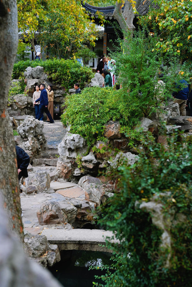 江南秋色藏留園讓人忍不住愛了又愛! 江南秋色藏留園讓人忍不住愛了又愛!