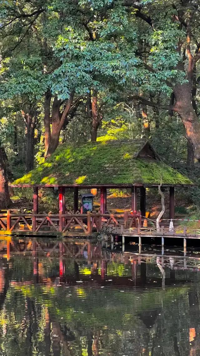 Kunming · Heilongtan Park