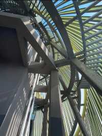 桃花江竹海遊玩攻略：竹知道，你該來浪了！