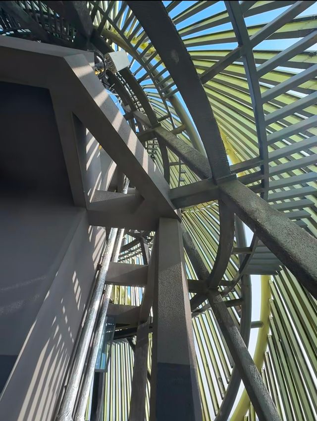 桃花江竹海遊玩攻略：竹知道，你該來浪了！