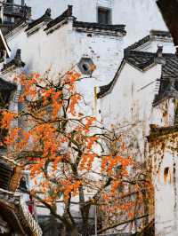 婺源秋日童話古村