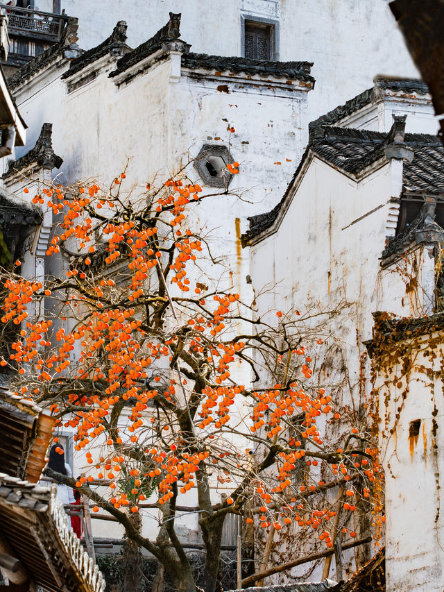 婺源秋日童話古村