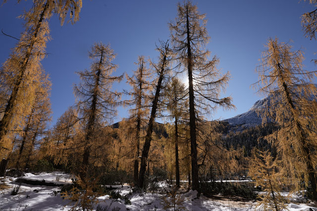 川西秘境|黨嶺葫蘆海 川西秘境|黨嶺葫蘆海