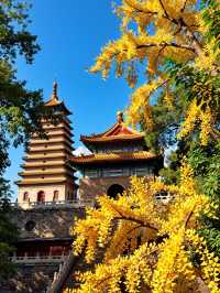 千年西安的秋日震撼到失語