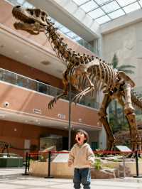 衢州親子遊|2天1晚不費媽!娃瘋玩+我躺平的0踩雷攻略(附省