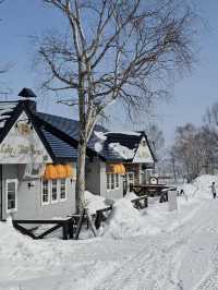 北海道3日團承包了我對雪國的所有浪漫幻想