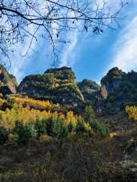 秋色掩映遮陽山