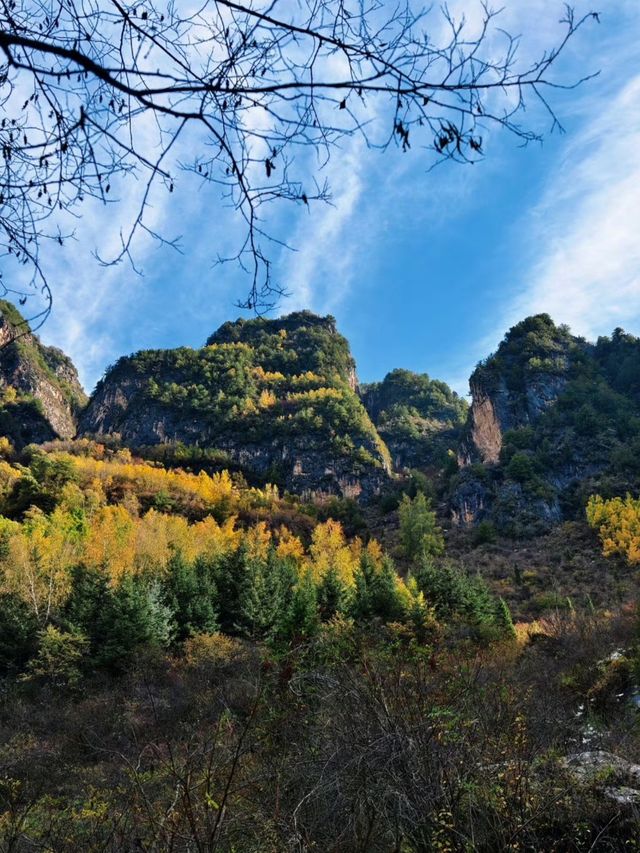 秋色掩映遮陽山