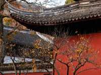 初冬江浙滬徒步指南｜3條精選路線+裝備清單+避坑乾貨