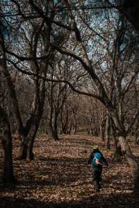 南京止馬嶺 秋季徒步出片指南