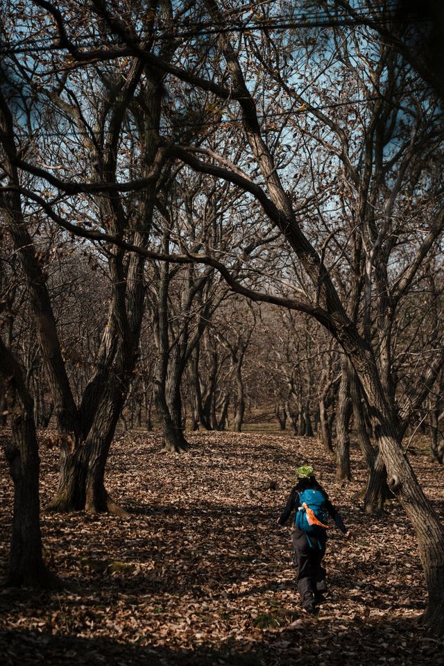南京止馬嶺 秋季徒步出片指南