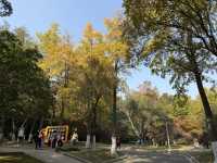 秋日虞山賞楓季