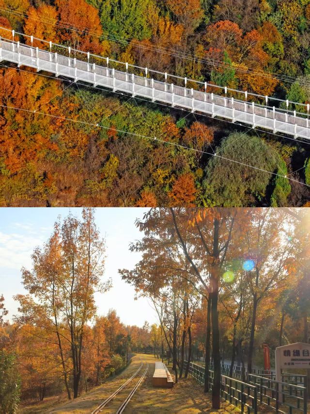 徐州私藏秋景｜馬陵山避世賞楓攻略