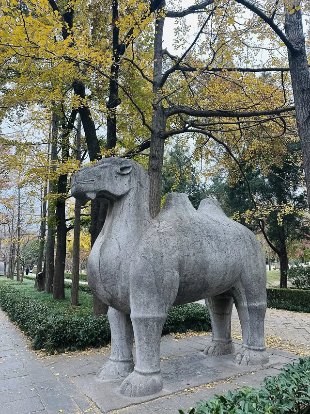 鐘山景區一日遊攻略 反方向路線避開人流