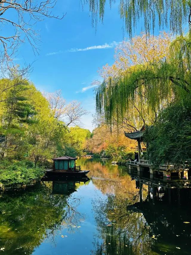 ฤดูหนาวพบกับกลิ่นหอมของดอกเบญจมาศที่บ่อโบ่ถู่