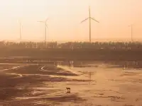 鹽城丨朋友都以為我去了肯尼亞