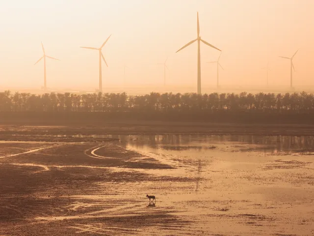 鹽城丨朋友都以為我去了肯尼亞 鹽城丨朋友都以為我去了肯尼亞