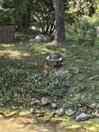 上海野生動物園的快樂