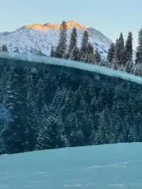 伊犁的雪是裹著蘋果香的浪漫-7天6晚攻略