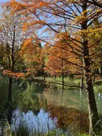 原圖直出的地方終於找到了附路線攻略