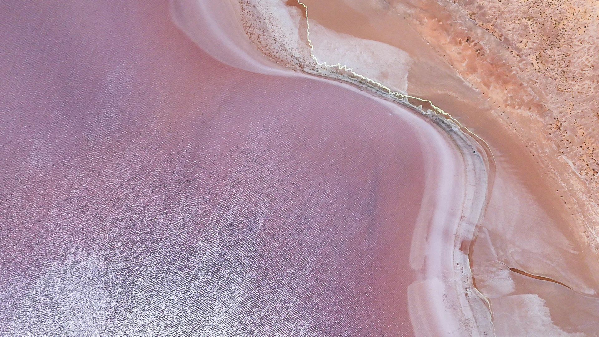 Adelaide｜Could this be the most beautiful season for pink lakes?! 🩷