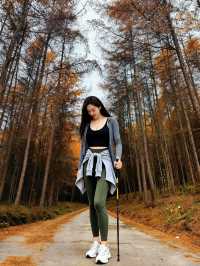 成都2小時直達！免費秘境松林灣，遛娃不費力