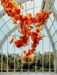 美國西雅圖包車｜市區雷尼爾往返華人接送