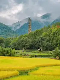 秋日國清寺:在千年古剎尋一份靜謐