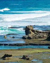 墨爾本周邊1.5h果然最美的地方都是免費的