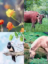 這裡美得像一幅油畫