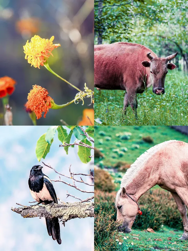 這裡美得像一幅油畫 這裡美得像一幅油畫