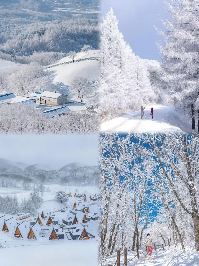 홋카이도 대신 강원도 겨울 동화 여행 가이드가 왔어요!