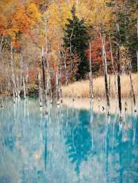 日本6日深度遊不看後悔攻略來啦