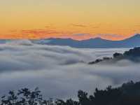景邁山年度最佳雲海日出觀賞季