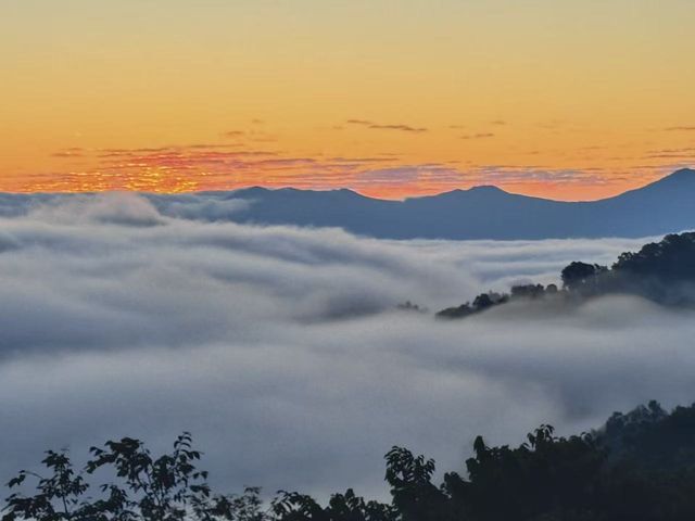 景邁山年度最佳雲海日出觀賞季 景邁山年度最佳雲海日出觀賞季