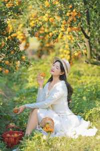 週末遛娃必去橘子園