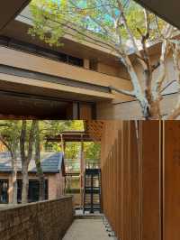 景德鎮漫遊72H|陶溪川我的精神自留地