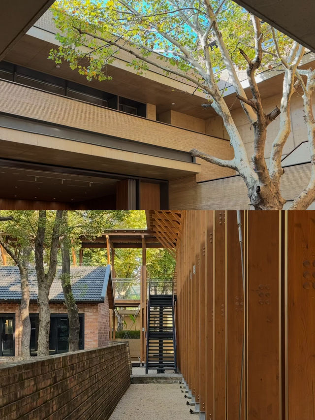 景德鎮漫遊72H|陶溪川我的精神自留地 景德鎮漫遊72H|陶溪川我的精神自留地