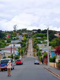 達尼丁必訪哥特教堂