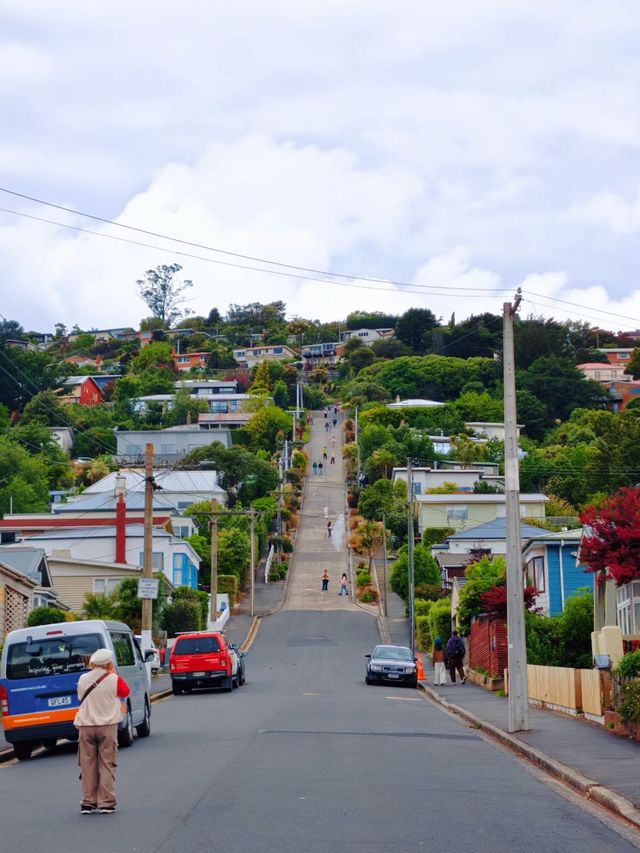 達尼丁必訪哥特教堂 達尼丁必訪哥特教堂