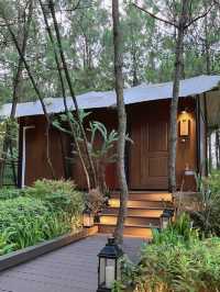 這次在貴州興義發現了一處藏在森林裡的寶藏酒店!