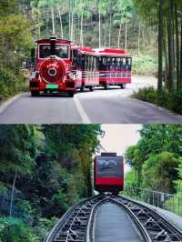 一半是湖水,一半是竹海,溧陽的美,超出你想像!