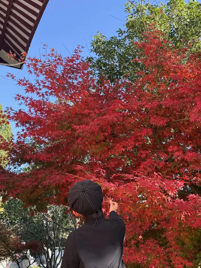 美得不像在莆田!朋友圈都在問的超絕秋景 美得不像在莆田!朋友圈都在問的超絕秋景