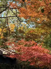 在成都隱藏的江南園林!感受一場盛大的秋天