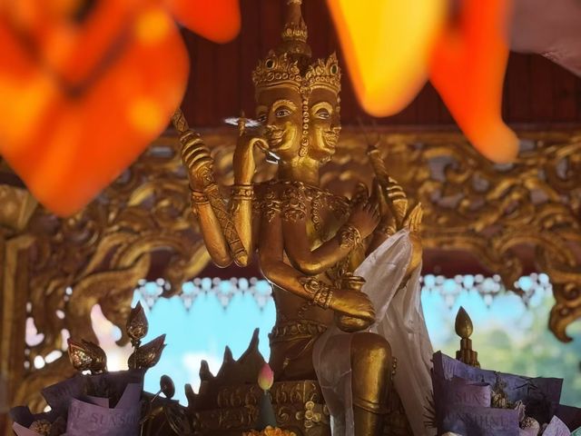 景洪曼聽御花園攻略 景洪曼聽御花園攻略