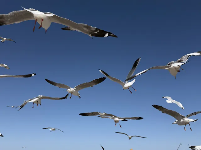 大西北你真的有點厲害!青海湖隨手拍都美! 大西北你真的有點厲害!青海湖隨手拍都美!