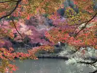 名古屋的秋東山 犬山 真的很好拍~